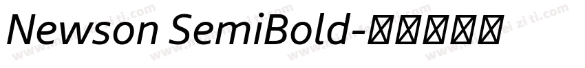 Newson SemiBold字体转换